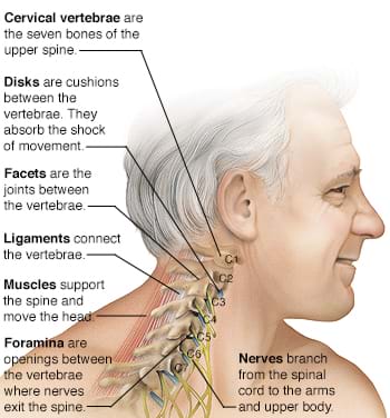 When to Seek Treatment for Neck Pain