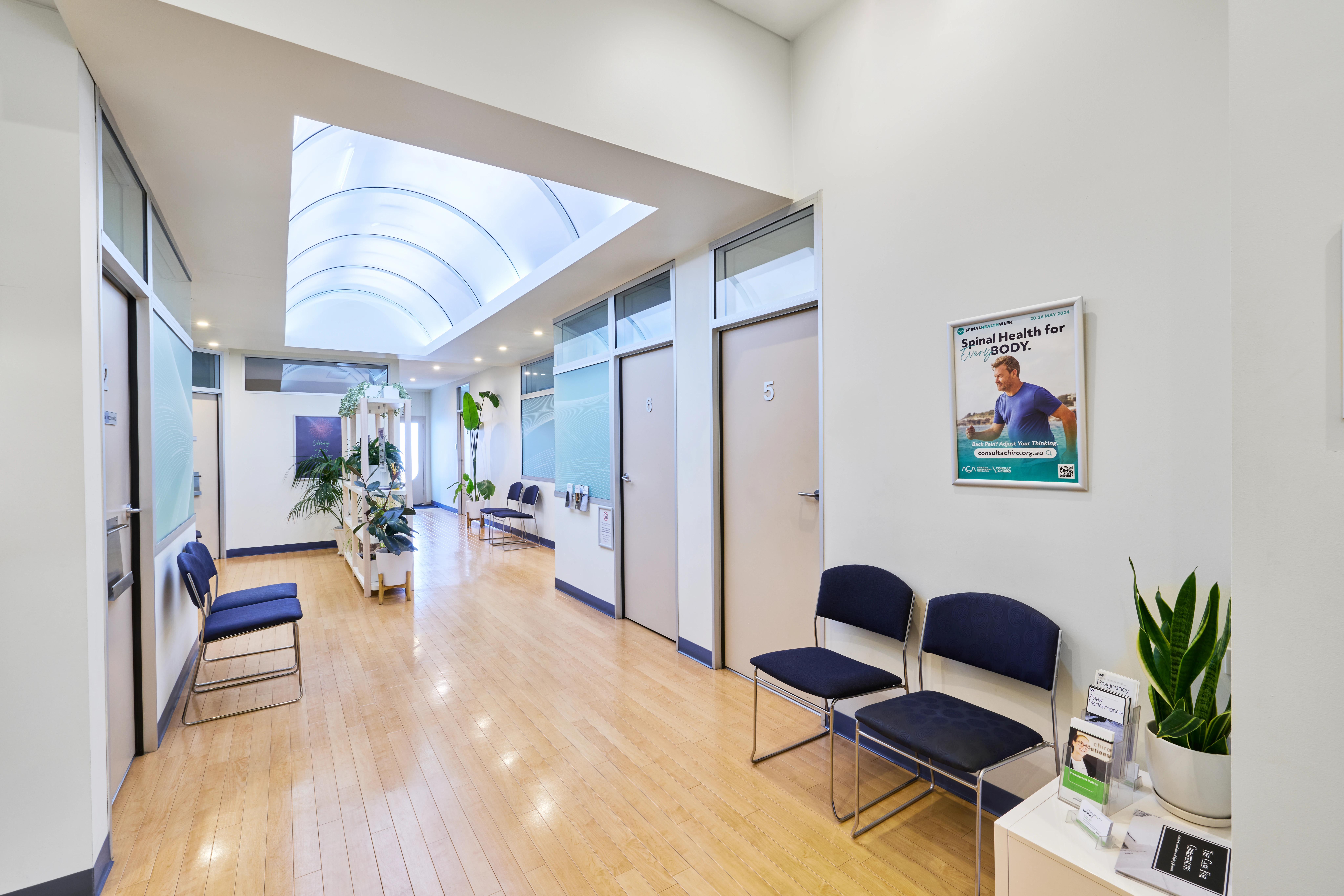 Waiting and atrium area at Chiropractic Solutions Norwood Adelaide