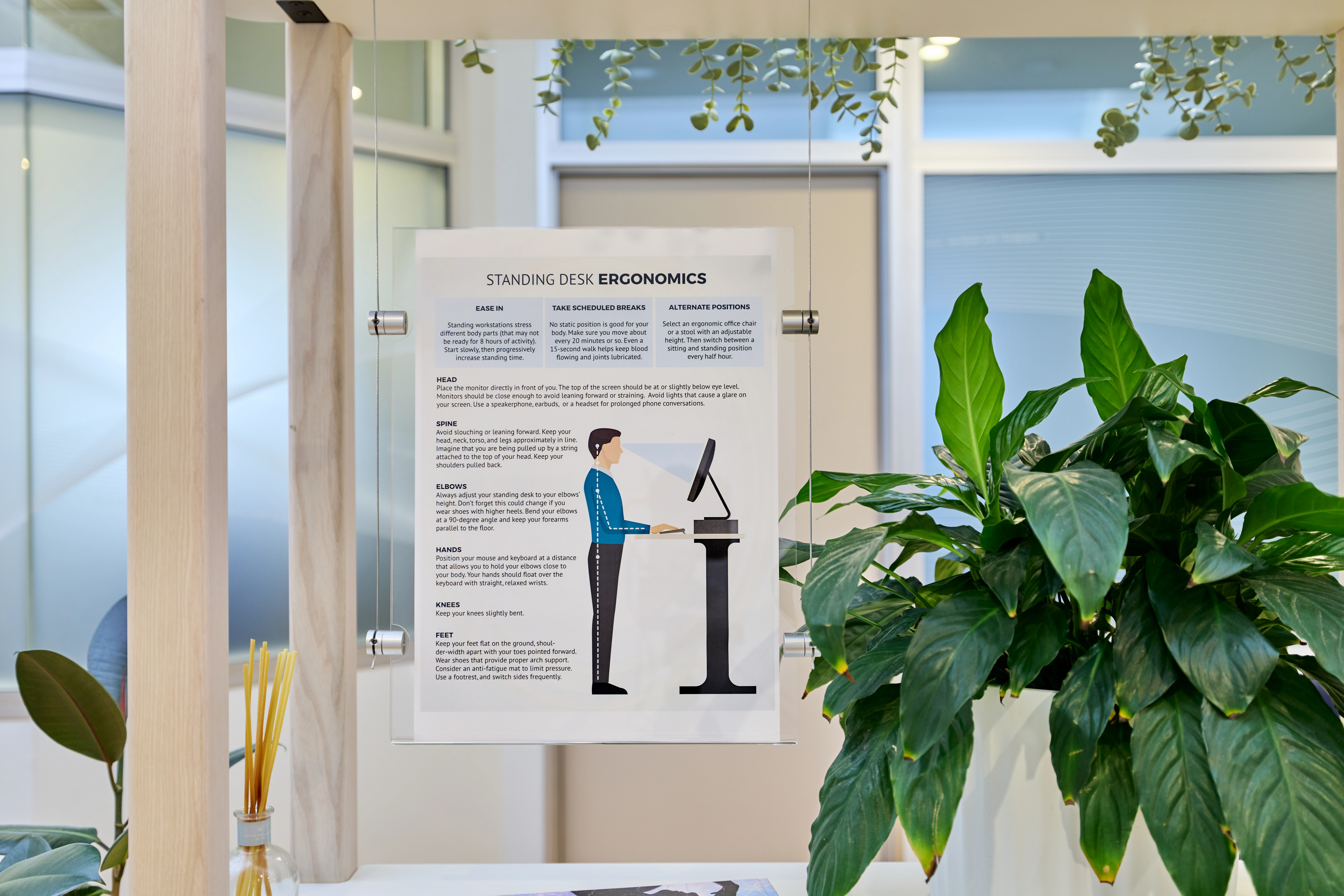 Information Display at Chiropractic Solutions Norwood Adelaide