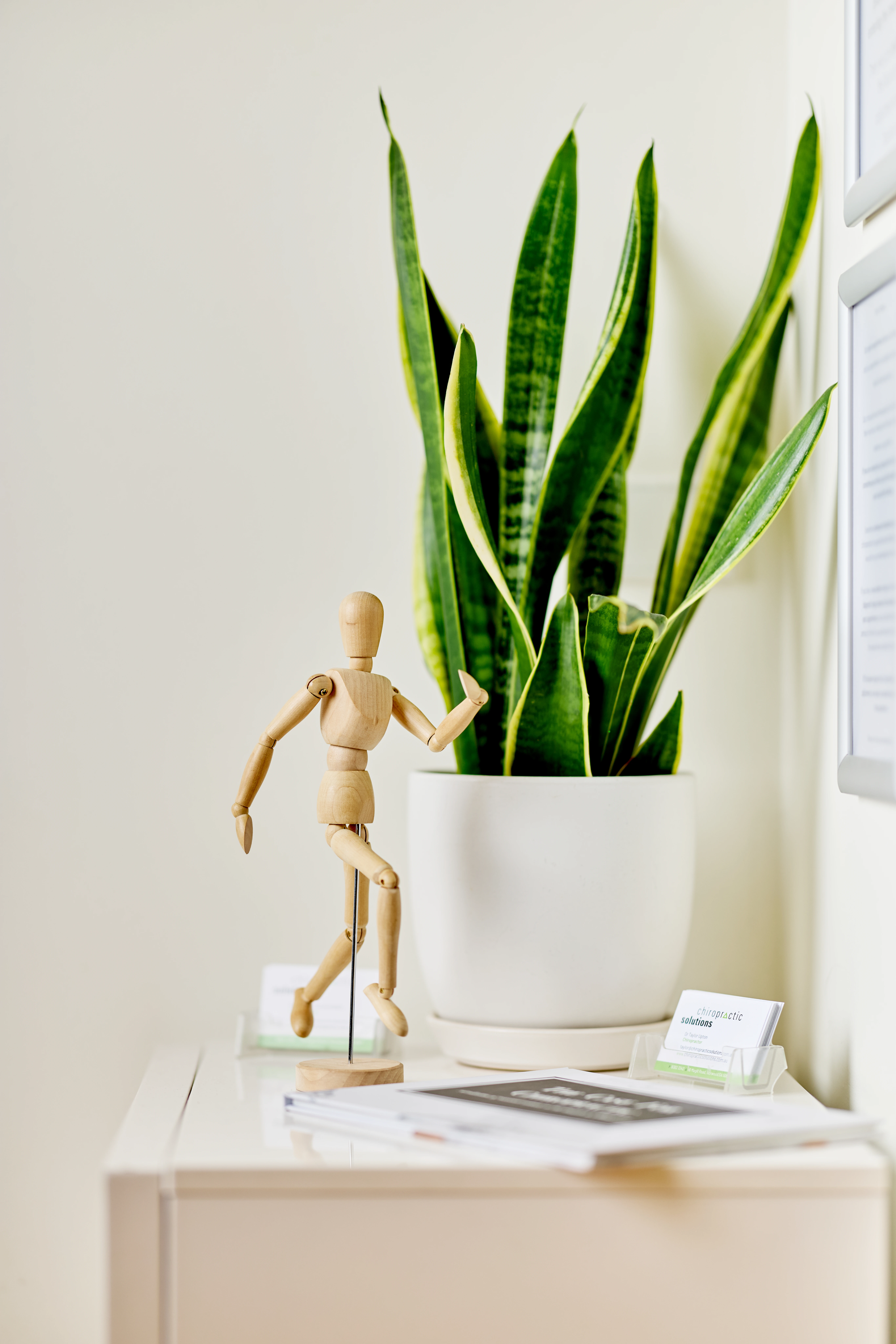 Wooden figure on display at Chiropractic Solutions Norwood Adelaide